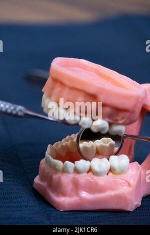 Il dentista tiene le dentarie nelle sue mani. Foto Stock