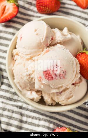 Gelato allo Strawberry biologico fatto in casa in una ciotola Foto Stock