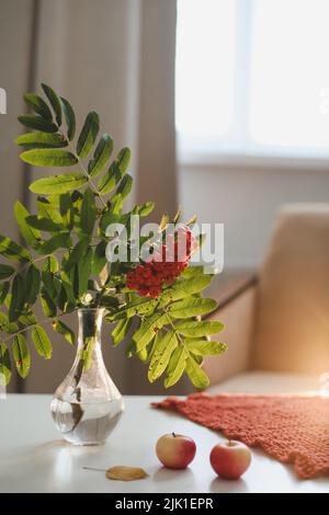 autunno ancora vita con rowan e mele su un tavolo in una casa accogliente interno. Foto Stock