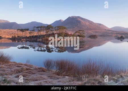 Irlanda, Contea di Galway, Connemara, Derryclare Lough visto dal punto di osservazione di Pine Island in una mattinata gelida con la catena montuosa dei dodici Bens sullo sfondo. Foto Stock