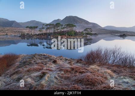 Irlanda, Contea di Galway, Connemara, Derryclare Lough visto dal punto di osservazione di Pine Island in una mattinata gelida con la catena montuosa dei dodici Bens sullo sfondo. Foto Stock