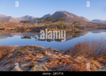 Irlanda, Contea di Galway, Connemara, Derryclare Lough visto dal punto di osservazione di Pine Island in una mattinata gelida con la catena montuosa dei dodici Bens sullo sfondo. Foto Stock