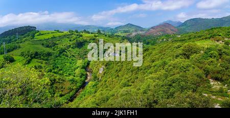 Vista aerea di una valle lussureggiante di vegetazione verde e alte montagne. Santander. Foto Stock