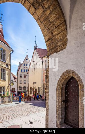 Guardando fuori sulla Città Vecchia dagli archi del 14th secolo Municipio (Tallinna raekoda) nella piazza di Tallinn, la capitale dell'Estonia Foto Stock