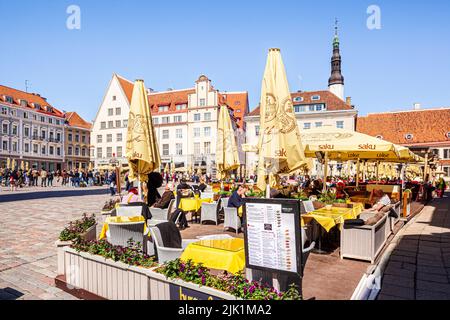 Un cafe' nella trafficata Piazza del Municipio nella Citta' Vecchia di Tallinn, la capitale dell'Estonia Foto Stock