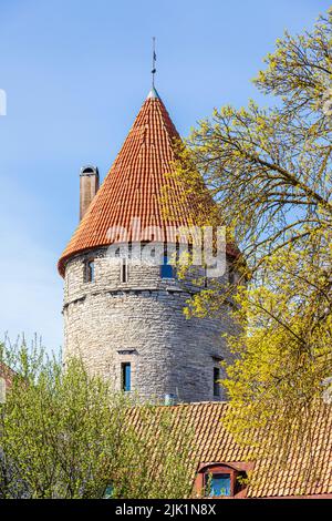Una delle torri difensive medievali di Tallinn, la capitale dell'Estonia Foto Stock