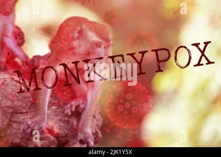 Monkeypox malattia focolaio concetto. Monkeypox è una malattia zoonotica virale, trasmessa all'uomo da animali. Foto Stock