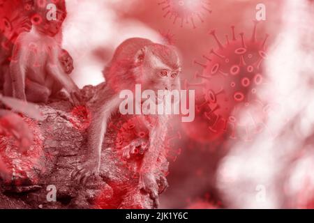Monkeypox malattia focolaio concetto. Monkeypox è una malattia zoonotica virale, trasmessa all'uomo da animali. Foto Stock