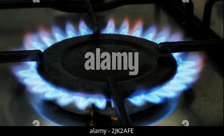 Anello di gas che brucia con fiamme blu su un fornello domestico o stufa Foto Stock