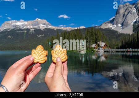 Due mani tengono in su i biscotti di crema della foglia di acero mentre al lago di smeraldo nel parco nazionale del Canada di Yoho Foto Stock