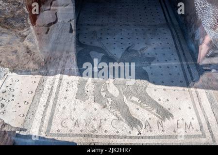 Famoso mosaico da pavimento di un cane e la citazione Cave Canem a Pompei, Italia Meridionale Foto Stock