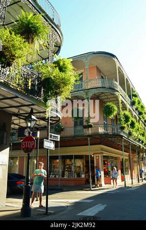 Felci appendono dai balconi ornati nel quartiere Francese di New Orleans Foto Stock