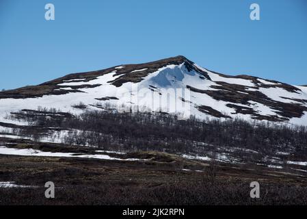 Circa 1000 metri sul livello del mare Dovrefjell è una catena montuosa e altopiano della Norvegia centrale Foto Stock