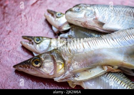 Pesce Cachorro (Trachinotus goodie) in vendita al mercato di Belen in Perù Foto Stock