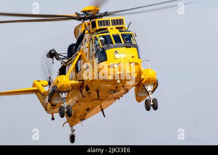 Seaking in arrivo a terra. Foto Stock