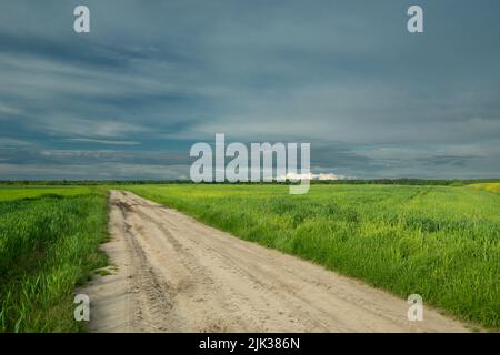 Strada sabbiosa attraverso campi verdi e cielo nuvoloso Foto Stock