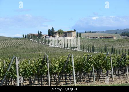Paesaggio dei campi di Toscana in Italia Foto Stock