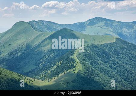 Paesaggio montano da Big Rozsutec, Little Fatra, repubblica Slovacca. Scena estiva. Bellezza nella natura. Foto Stock