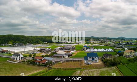 Vista panoramica delle case accanto ai campi di riso in una giornata nuvolosa luminosa Foto Stock