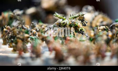 Chaos Space Marines Death Guard Painted Warhammer Figures Games Workshop © Clarissa Debenham / Alamy Foto Stock