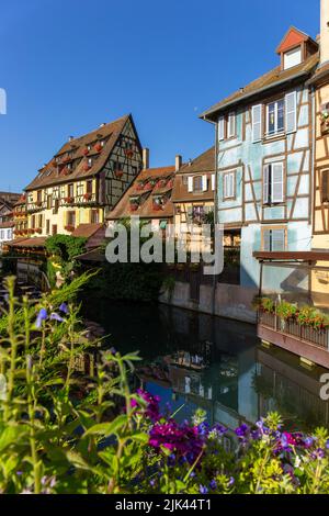 Colmar e le sue case colorate a graticcio Foto Stock