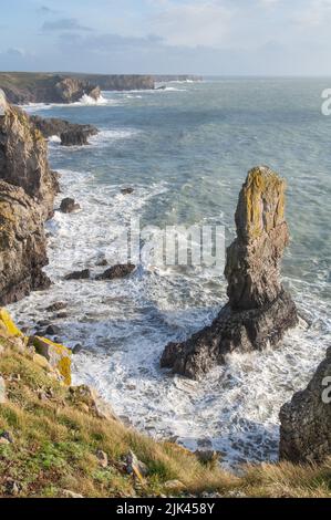 Le onde della tempesta invernale si infrangono contro Elelgug Stack o Stack Rocks, Pembrokeshire, Galles, Regno Unito Foto Stock