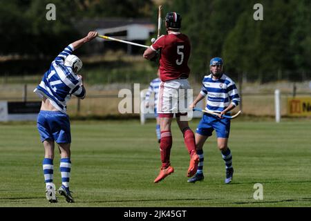 Newtonmore, Regno Unito. 30 luglio 2022. ::: Newtonmore Camanachd Club First Team gioca a Kinlochshiel sull'Eilan nella prima edizione del Mowi. Kingussie (in bianco e blu) contro Kinlochshiel. Punteggio finale 2-2. Campionato di Mowi Premiership. Shinty, o 'Camanachd' in Scottish, è un gioco giocato principalmente nelle Highlands tra squadre che rappresentano villaggi e città. Il gioco è più vecchio della storia registrata della Scozia ed è giocato su un campo d'erba usando una piccola sfera e bastoni (chiamato caman). . Credit: Rob Grey/Alamy Live News Foto Stock