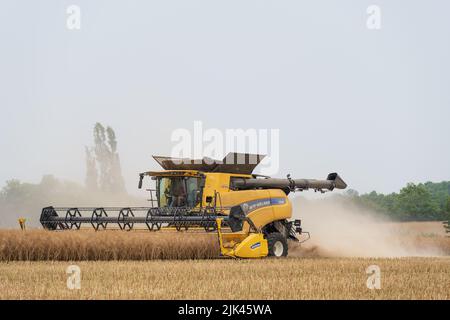 Raccolta della mietitrebbia a Hasketon, Suffolk Foto Stock