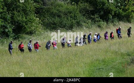 Lodge campo orchidee conteggio 2022 Foto Stock