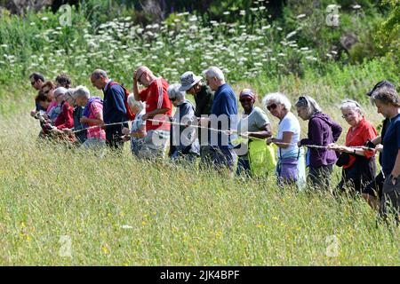 Lodge campo orchidee conteggio 2022 Foto Stock