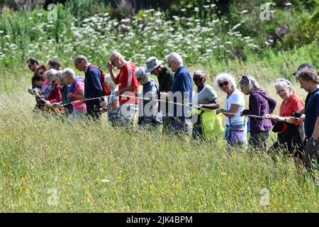 Lodge campo orchidee conteggio 2022 Foto Stock