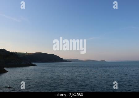 Si affaccia sul mare dal porto di Mevagissey Foto Stock
