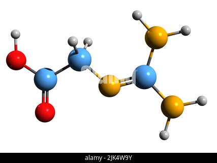 3D immagine della formula scheletrica della glicocamina - struttura chimica molecolare del guanidinoacetato isolato su sfondo bianco Foto Stock