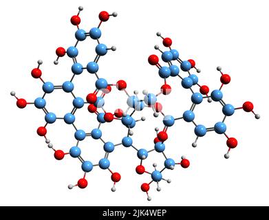 3D immagine di Grandinin formula scheletrica - struttura chimica molecolare di ellagitannina isolata su sfondo bianco Foto Stock