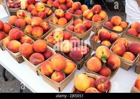 Pesche gialle fresche in casse di cartone al mercato agricolo Foto Stock