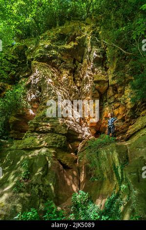 Dominika Wroblewska sotto una scogliera dolomitica sulla cima di un letto di pietra grattugiata, nella gola di Knaresborough, vicino Harrogate, Yorkshire. Foto Stock