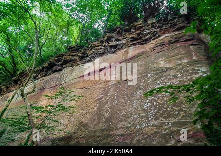 La faccia della cava di arenaria macchiata di rosa da depositi di ferro, con un letto di dolomite sulla sommità nella gola di Knaresborough, vicino Harrogate, Yorkshire. Foto Stock