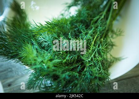 Un mazzetto di aneto verde fresco su un piatto bianco in primo piano. Messa a fuoco selettiva. Foto Stock