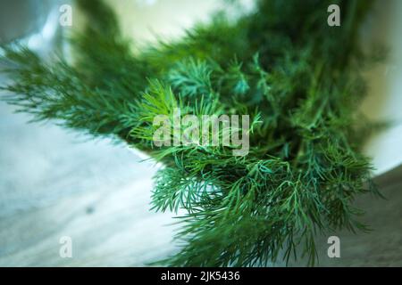 Un mazzetto di aneto verde fresco su un piatto bianco in primo piano. Messa a fuoco selettiva. Foto Stock