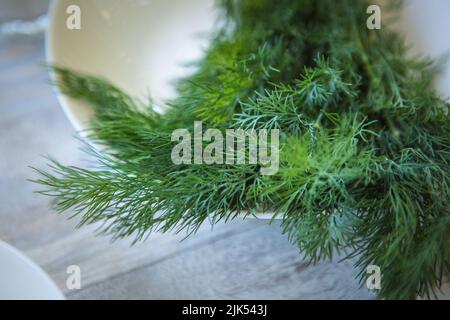 Un mazzetto di aneto verde fresco su un piatto bianco in primo piano. Messa a fuoco selettiva. Foto Stock