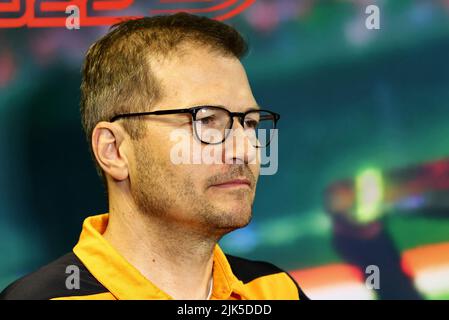 Budapest, Ungheria. 30th luglio 2022. Andreas Seidl (DEU, Team McLaren F1), Gran Premio d'Ungheria F1 all'Hungaroring il 30 luglio 2022 a Budapest, Ungheria. (Foto di DPPI via HIGH TWO) Credit: dpa/Alamy Live News Foto Stock