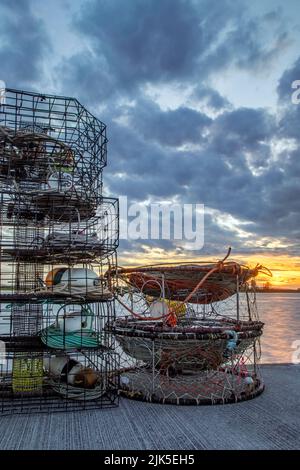 Gabbie di granchio sul molo di Everett Marina. Sullo sfondo, tramonti su Jetty Island Foto Stock