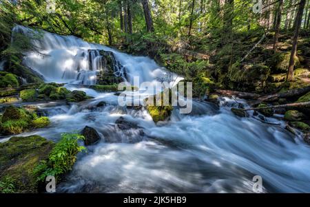 Mill Creek cade sulle cascate Pearsony a Prospect, Oregon. Foto Stock