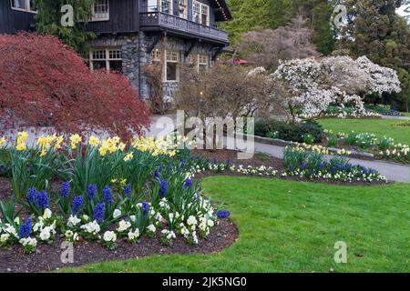 Giardini di fiori di primavera in piena fioritura a Stanley Park, Vancouver, British Columbia, Canada. Foto Stock