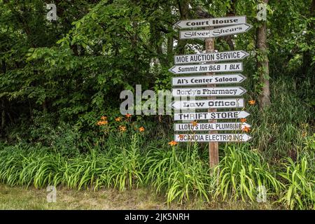 Segnaletica per la città di Center City, Minnesota, circondata da daygigli arancioni. Foto Stock