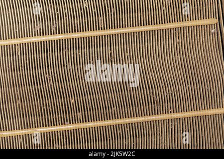 Struttura di un vecchio filtro dell'aria dell'auto Foto Stock