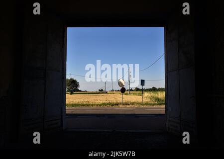 Campo di grano in una giornata di sole visto attraverso un cancello aperto all'ombra Foto Stock