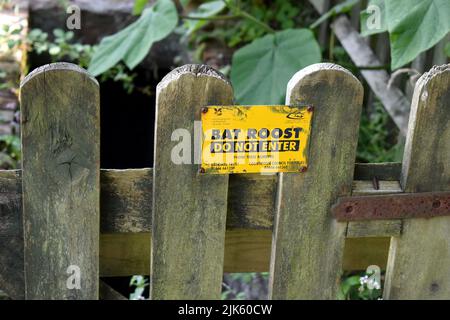 Bat Roost non entrare segno giallo, Stackpole Court, Stackpole, Pembrokeshire, Galles Foto Stock