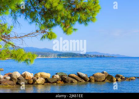 Estate vacanze viaggi con sfondo verde pineta ramo di albero e mare blu marina in Nikiti, Halkidiki, Grecia Foto Stock