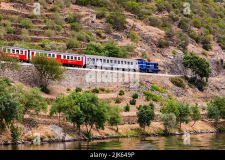 Un treno sulla linea ferroviaria direttamente parallelo al fiume Douro nella romantica regione vinicola dell'Alto Douro, Portogallo Foto Stock